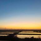 life_photo_0