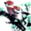 user icon