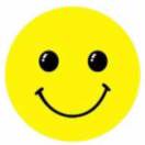 Qiang的头像-WordPress主题模板-zibll子比主题