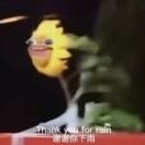 伦敦求租