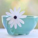 Joy_586