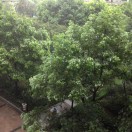 山清水秀