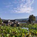 修章的头像-熵减岛