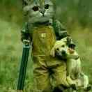 专业回收美国航母