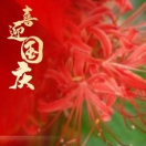 A001宝宏建设采购杜亚明