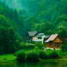 杨祎(yī)明的头像-外科技术网