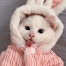 Lilian@