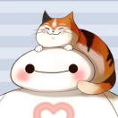 大白的猫