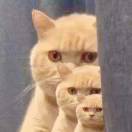 时间是最好的见证者