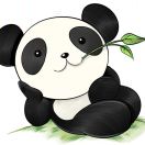 Yan