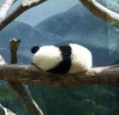 铭记1379的头像-熵减岛