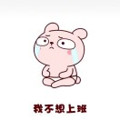 张先生的头像