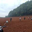 桑园村王忠清13693486795