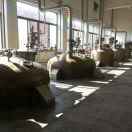 Johncan-毛延卿生产食用菌葡聚糖