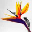 Profile picture of 1067716421