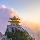 幾度春秋設(shè)計(jì)師唯伊婚戀榮譽(yù)月老