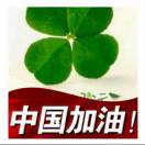 小彐彐儿