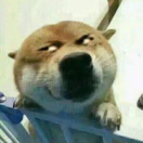 cicc|明哥资源