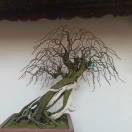 大兵的头像-STL下载网_3D打印模型网_3D模型库_3D打印模型素材_3D打印机