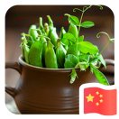 王顺华（兴郧模塑）