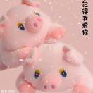 随意的风
