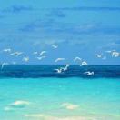 louise_510
