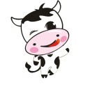 A加油（正规号卡）