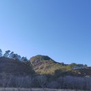 秋風(fēng)掃落葉