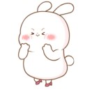 楊芙