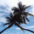 芒果文-学库教育