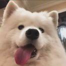 用户75035366的头像-邻而帮（02bang.com）