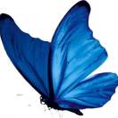 阿悦的头像-秀琴曲谱网