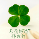 李能文