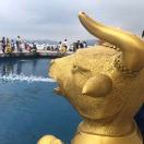 不着调的小毛驴