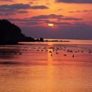 用户31215480的头像-龙猫科技站