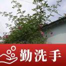 wx_成钢杰87