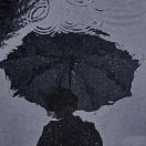 王艺桐