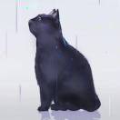 果立橙的头像-cg男孩