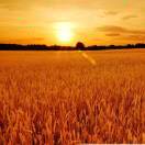 文15627537687的头像-易善缘