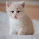 李先生的头像