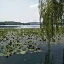 sed69933-吾爱GM手游