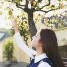 Jing_581
