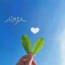 晓晓