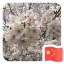 Wangjie