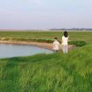濯清涟