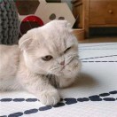 朱先生的头像
