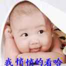 晓罗莉