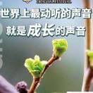 续写未来