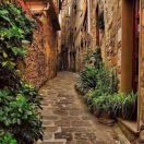 大笨熊的头像-博士钣金 - www.bsbanjin.com