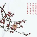 任先生的头像